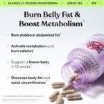 Lemme Burn - Metabolism, Belly Fat Burning + AMPK Activating Supplement - Image 4